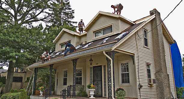 Best Roof Repair Services  in Earlington, KY