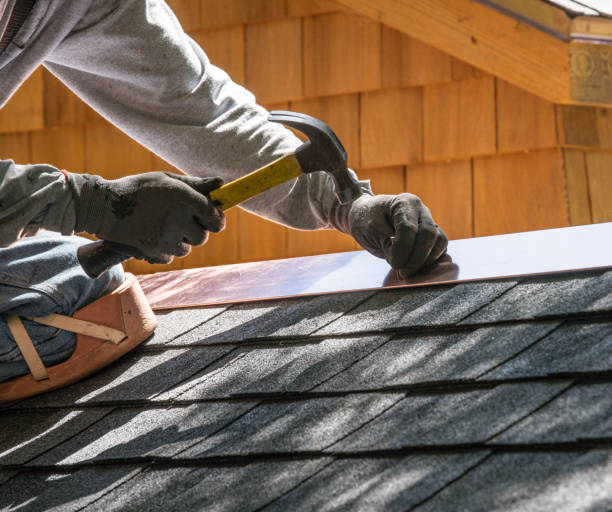 Roof Gutter Cleaning in Earlington, KY